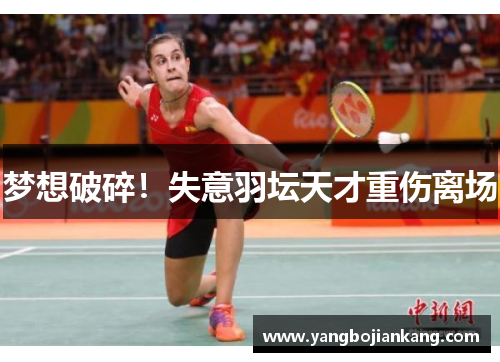 梦想破碎！失意羽坛天才重伤离场